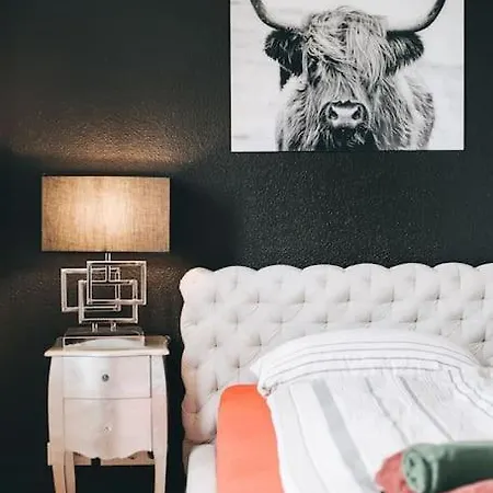 Moderne In Ruhiger Lage Apartman Drezda